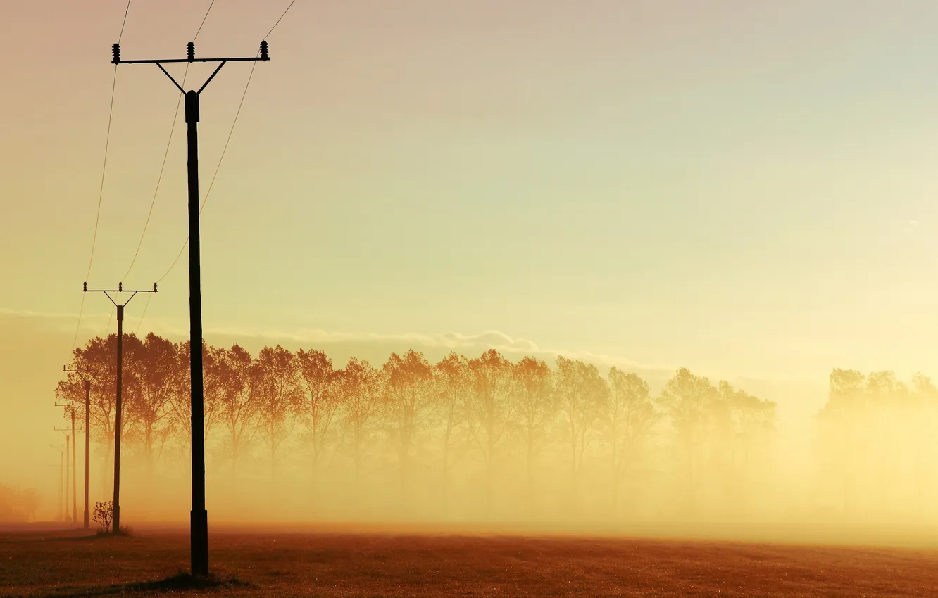 Photo wallpaper field, landscape, fog
