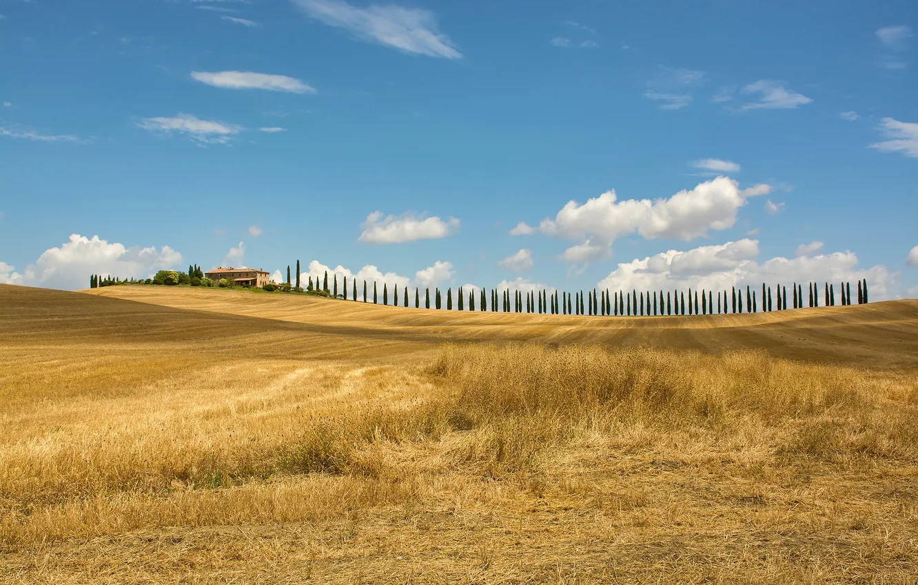 Photo wallpaper field, autumn, trees, hills, home, Italy, Tuscany