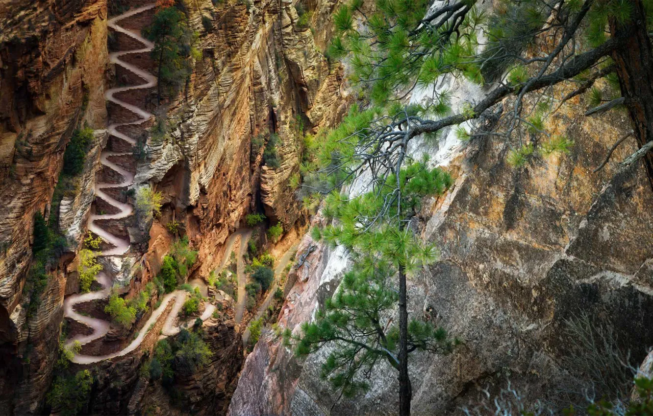 Photo wallpaper trail, Utah, USA, serpentine, Zion National Park, Zion national Park, Walter's Wiggles trail