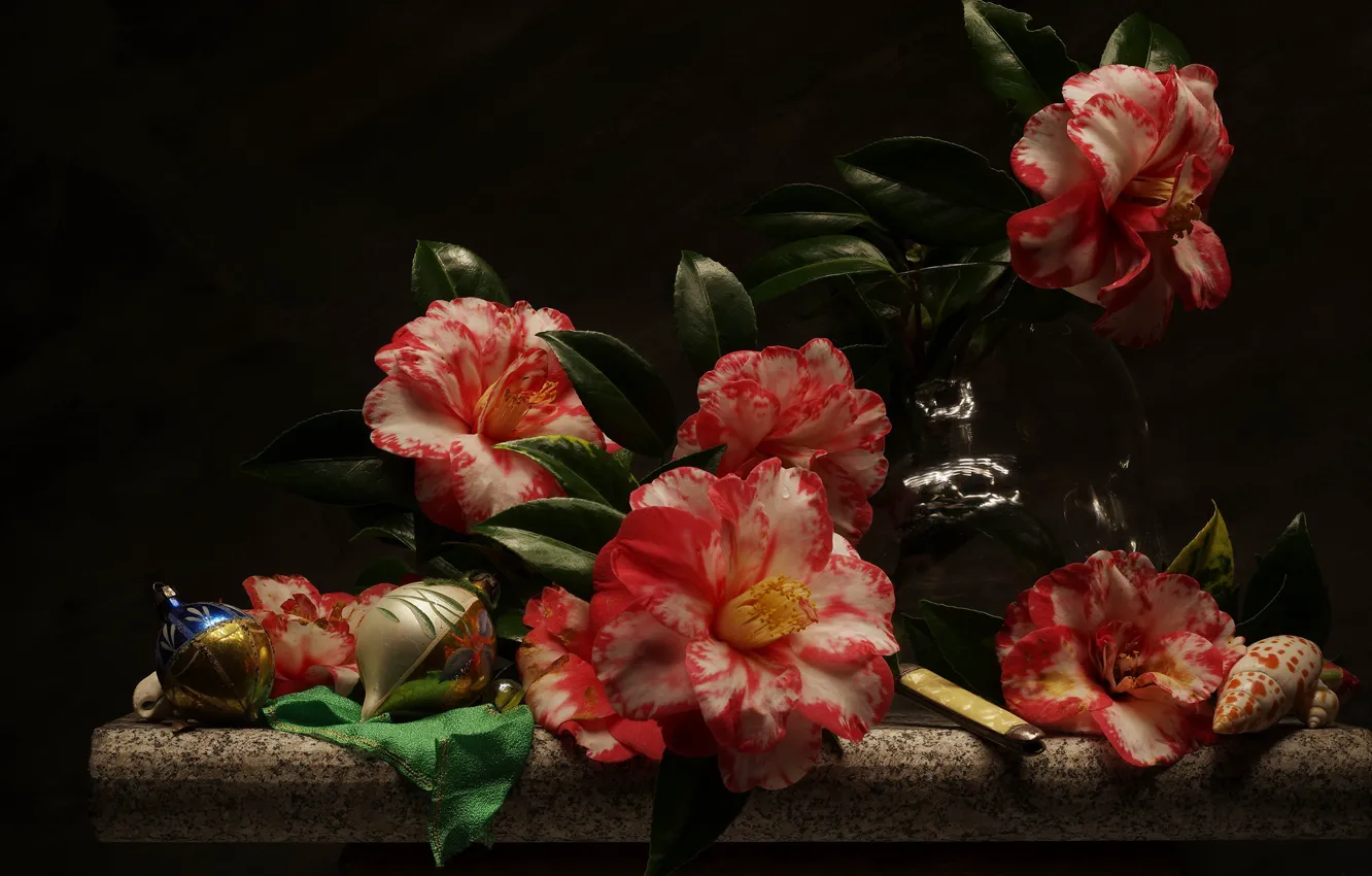 Photo wallpaper flowers, still life, Camellia
