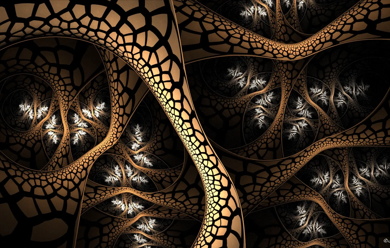 Photo wallpaper pattern, color, brown