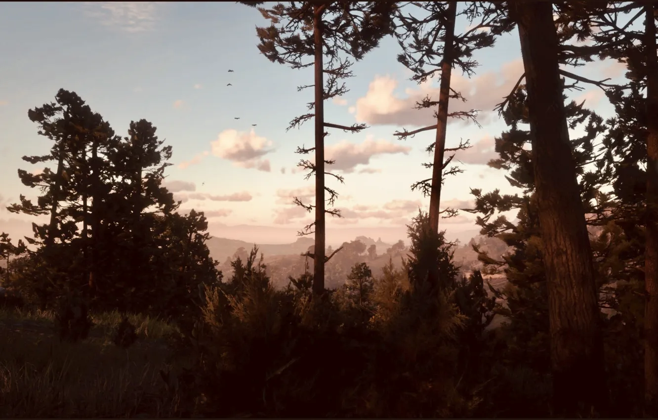 Photo wallpaper HDR, game, sky, wood, clouds, mountain, birds, evening