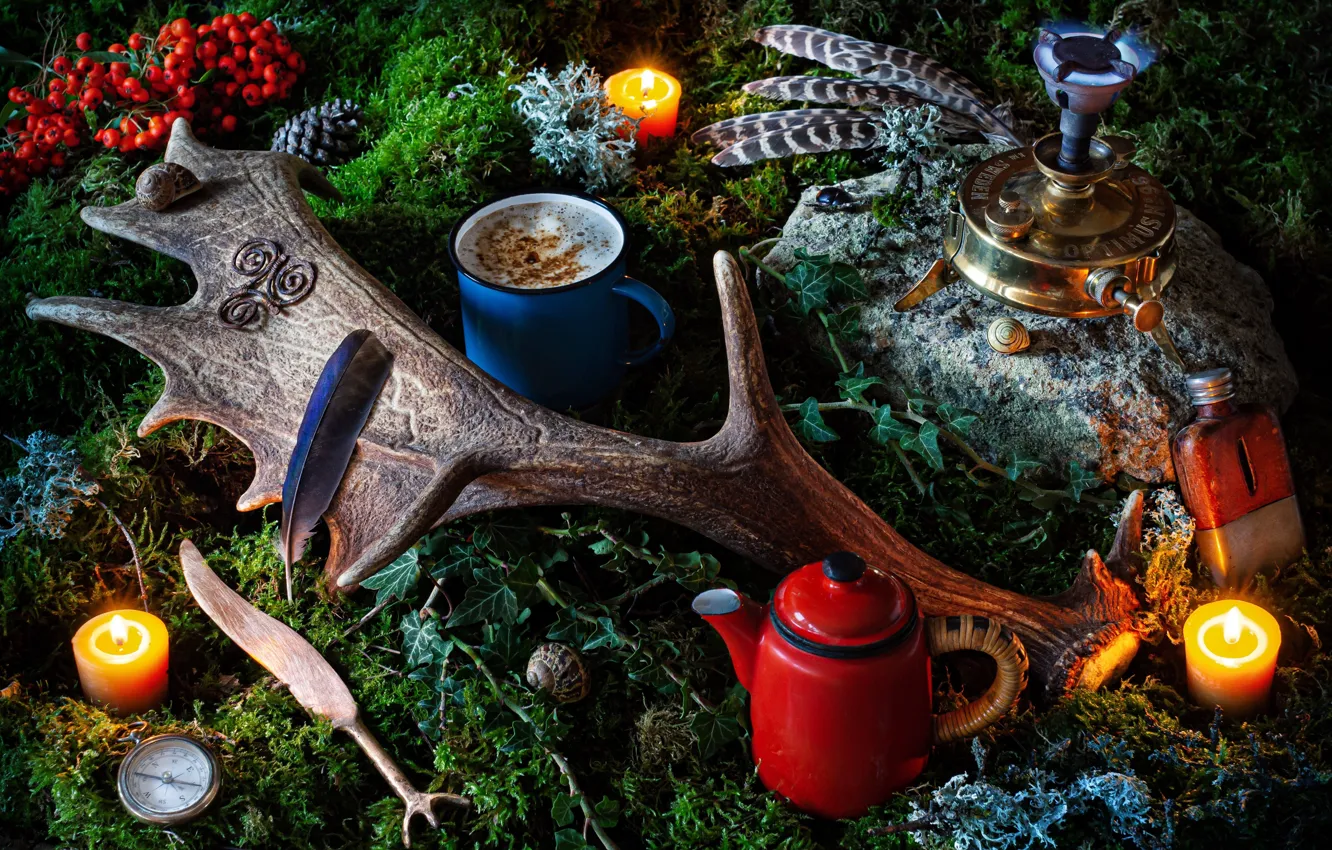 Photo wallpaper style, berries, moss, candles, feathers, kettle, mug, still life