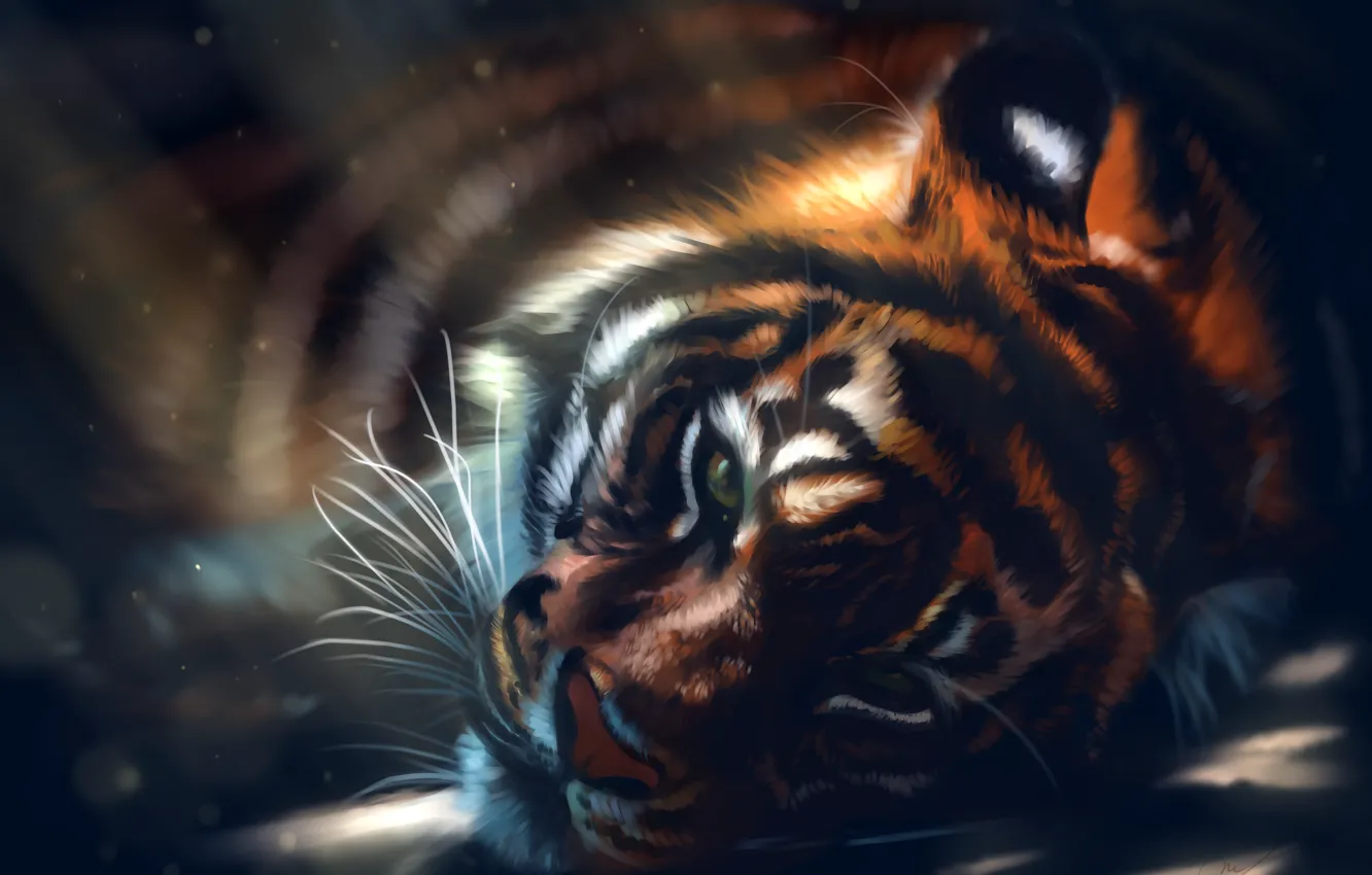 Photo wallpaper mustache, look, face, tiger, predator, art, wild cat, rays of light