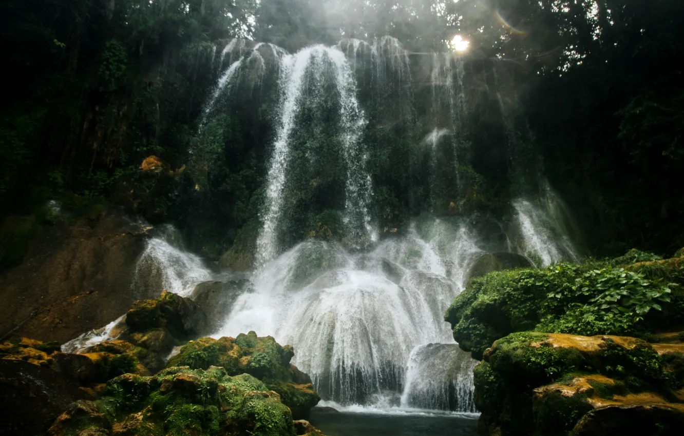 Photo wallpaper forest, trees, squirt, glare, stones, waterfall, moss, the rays of the sun