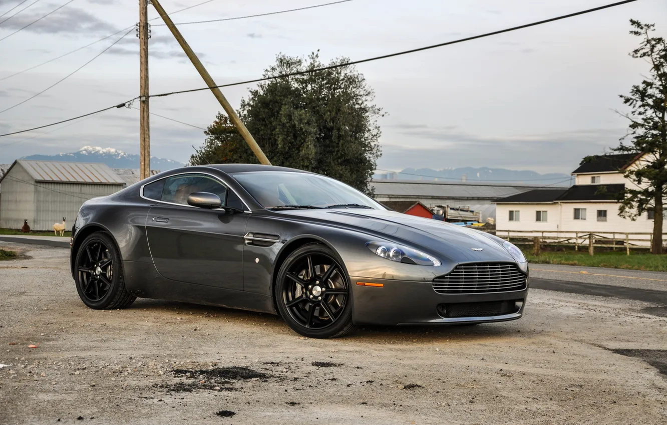 Photo wallpaper trees, grey, Aston Martin, building, Aston Martin, front view, grey, vantage V8