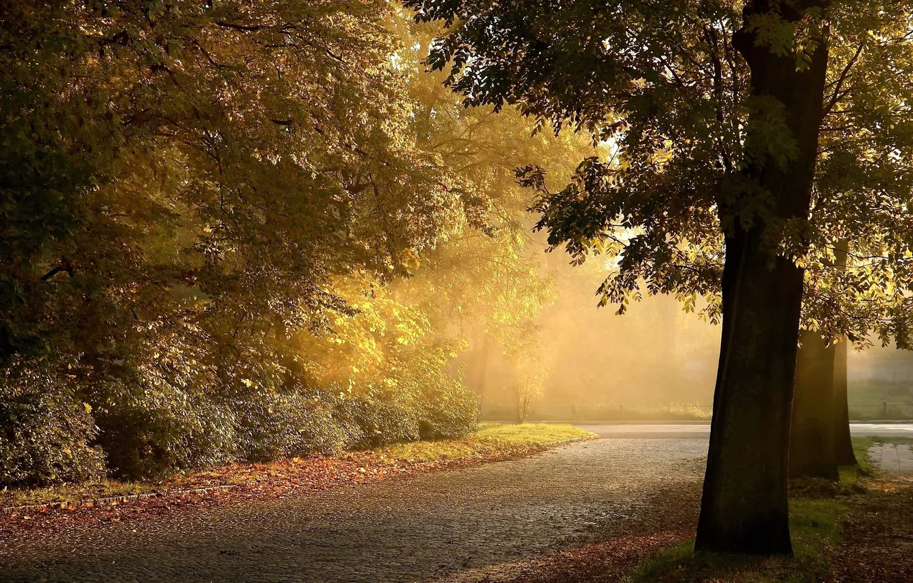 Photo wallpaper road, landscape, nature, the city, twilight, road, landscape, nature