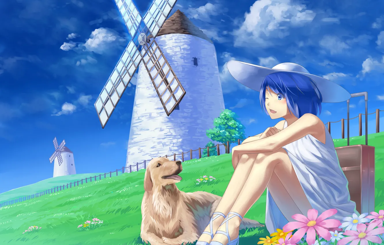 Photo wallpaper summer, the sky, freedom, heat, blue, stay, dog, mill