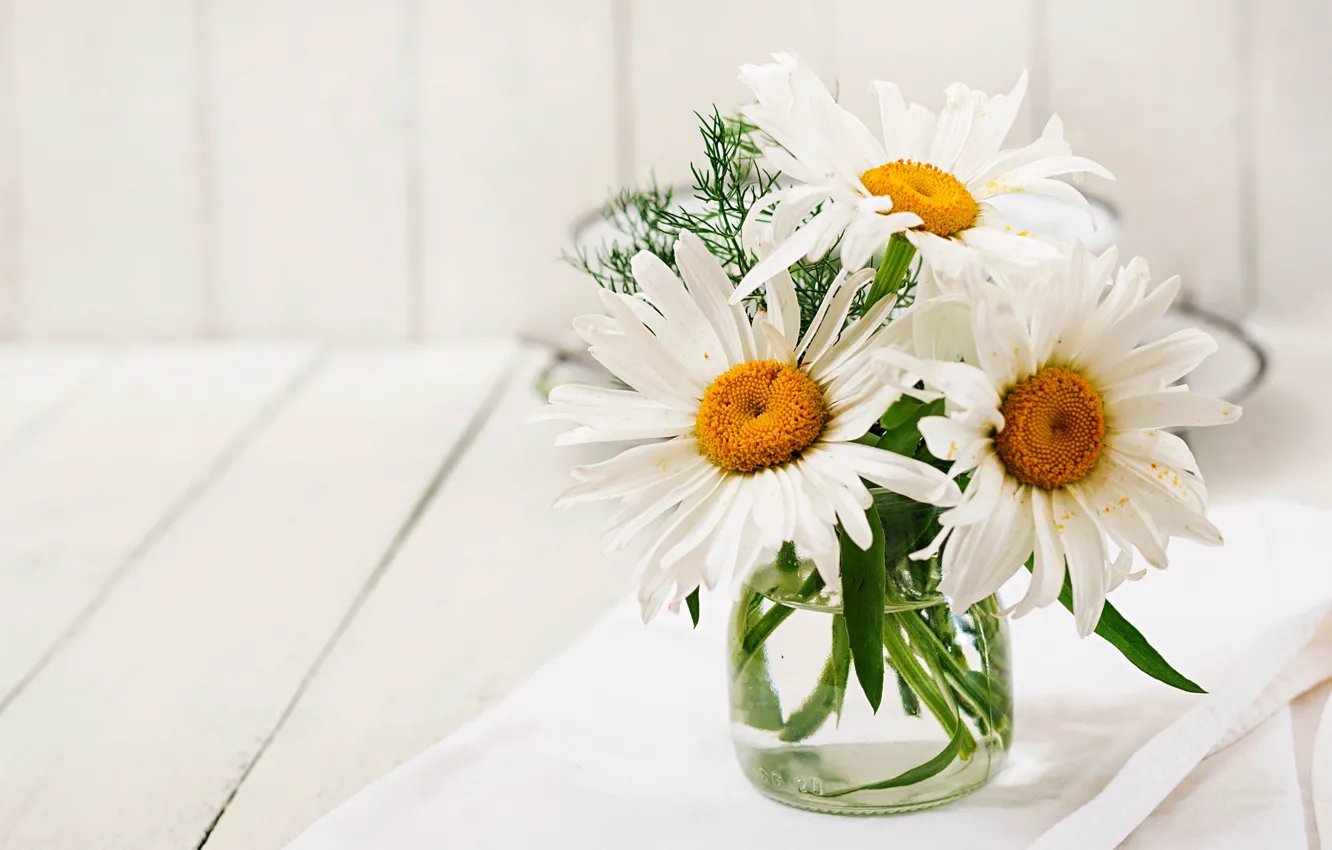 Photo wallpaper background, chamomile, Bank