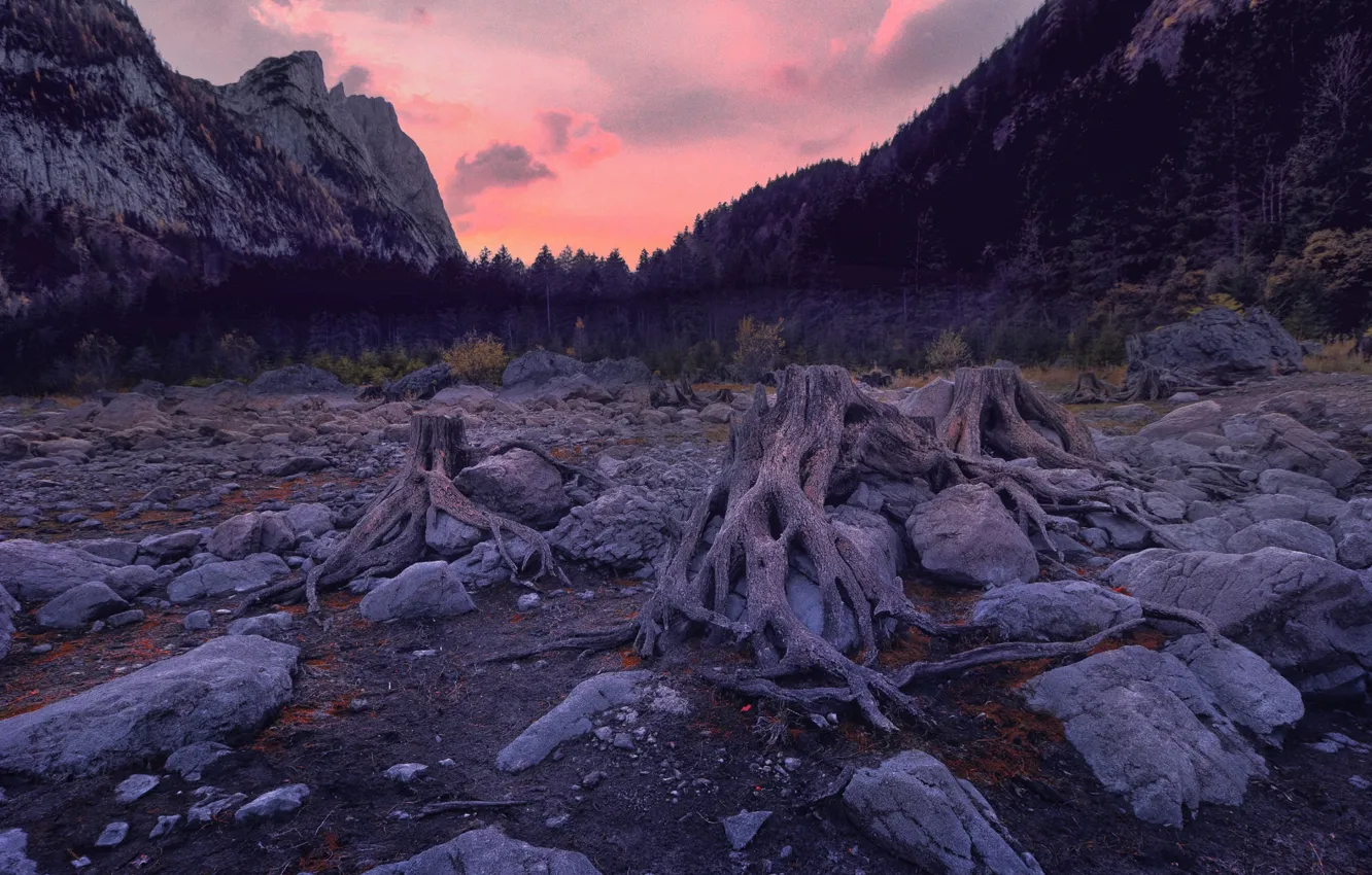 Photo wallpaper mountains, roots, stones, snag, stumps