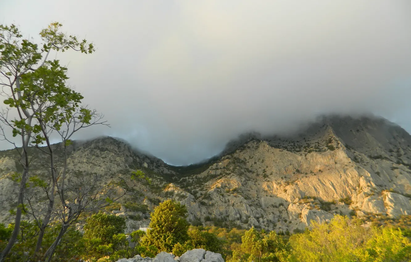 Photo wallpaper clouds, trees, mountains