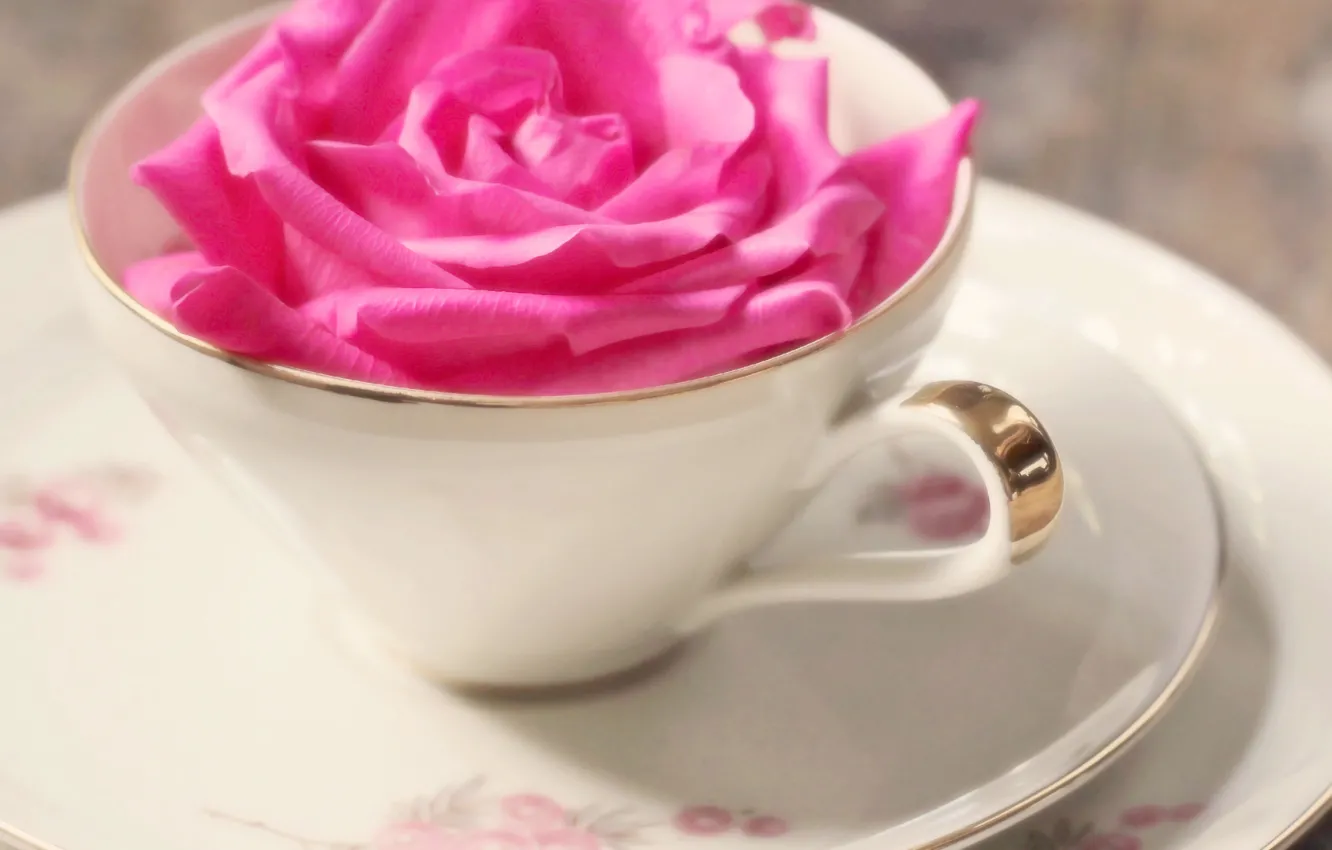 Photo wallpaper flowers, background, Wallpaper, pink, mood, tenderness, rose, mug