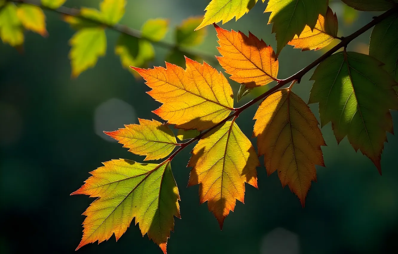 Photo wallpaper leaves, branch, AI art