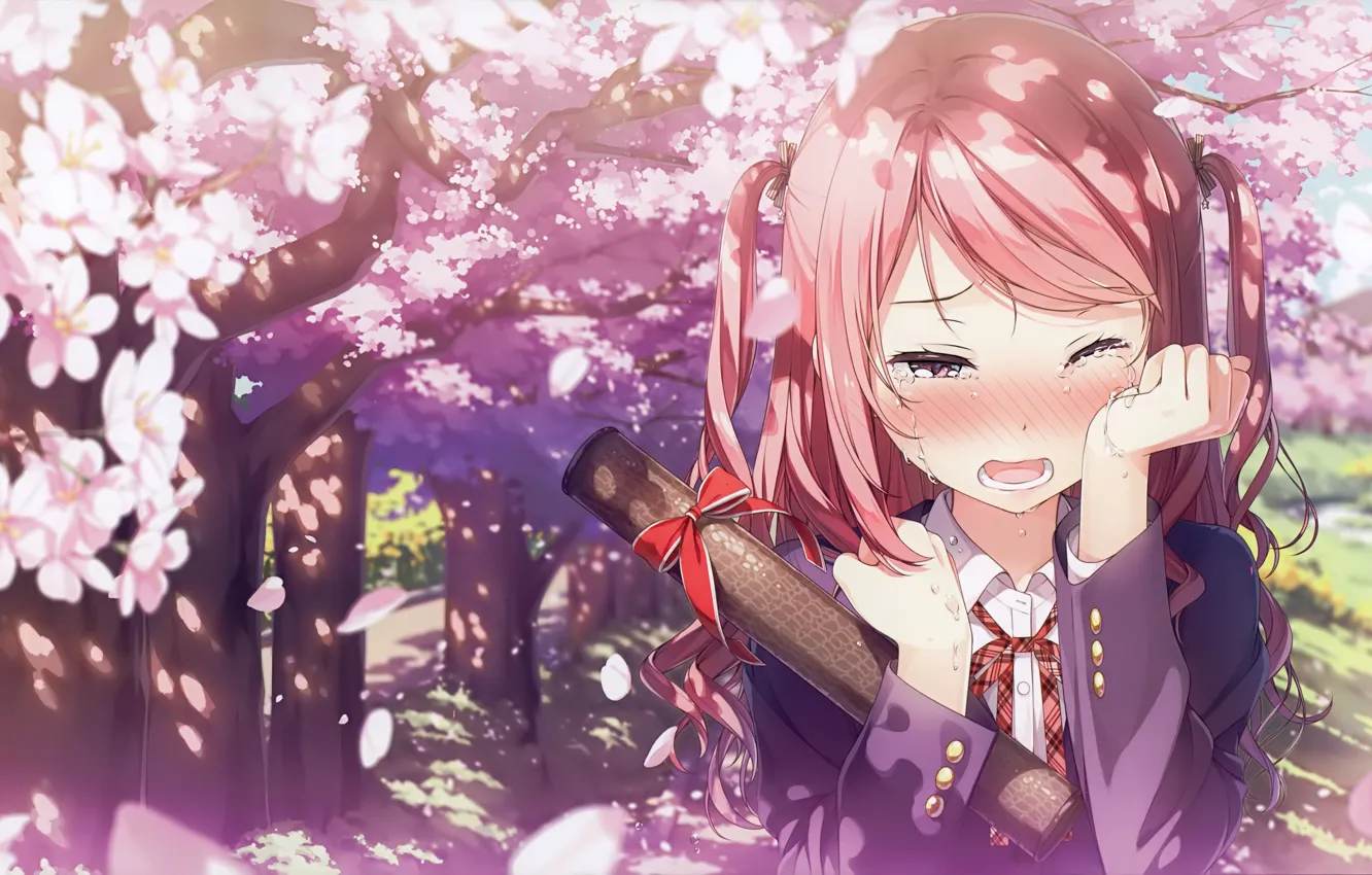 Photo wallpaper spring, petals, blush, schoolgirl, pink hair, two tails, diploma, the cherry blossoms