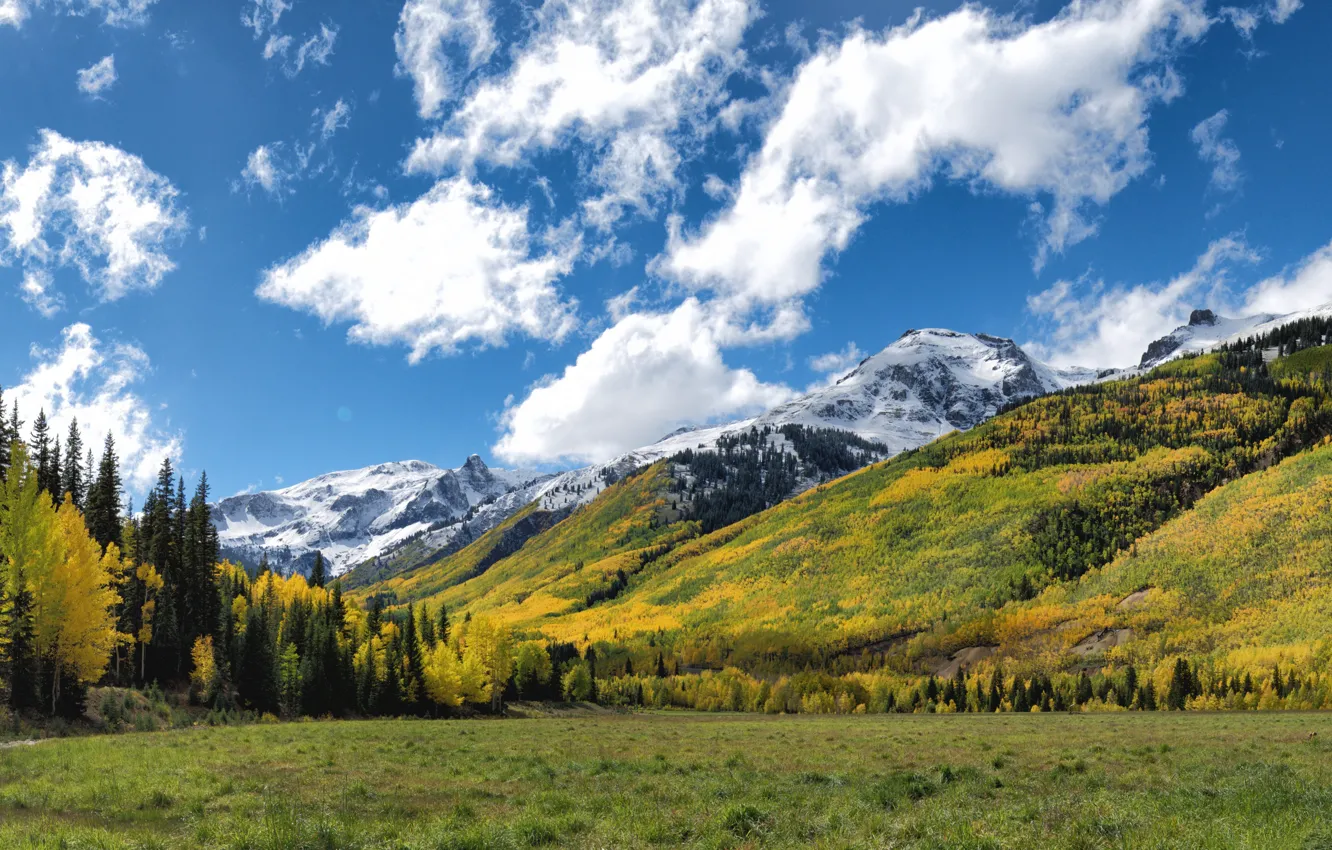 Photo wallpaper autumn, mountains, Colorado, USA, Aspen