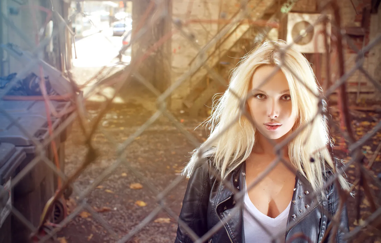 Photo wallpaper girl, mesh, blonde, netting