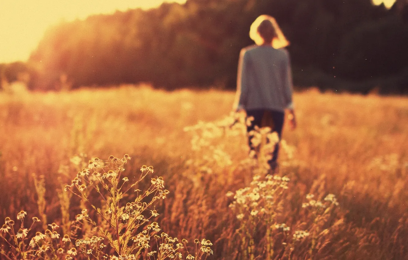 Photo wallpaper field, girl, the sun, macro, rays, sunset, blonde