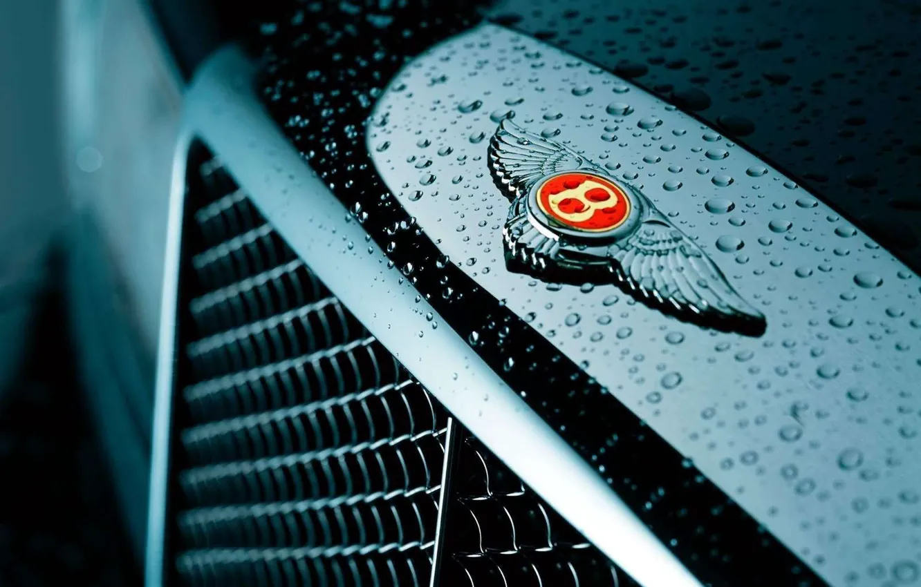 Photo wallpaper Logo, Bentley, Grille