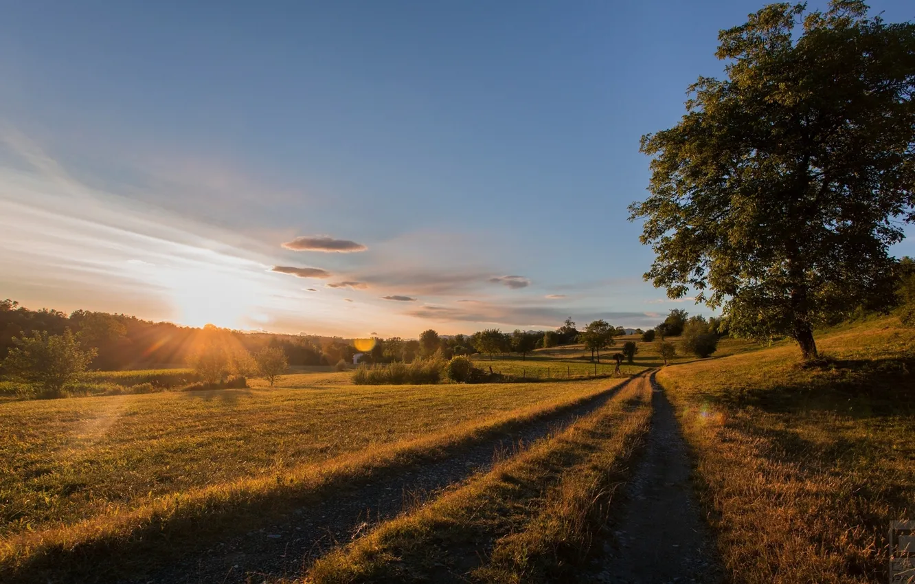 Photo wallpaper road, trees, dawn, meadow, Italy, Italy, Lombardia, Lombardy