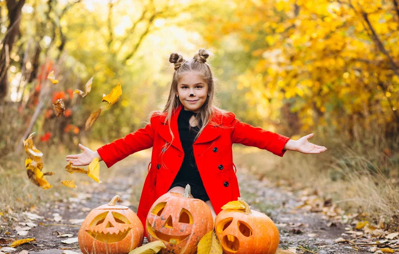 Photo wallpaper road, autumn, look, leaves, nature, pose, Park, holiday