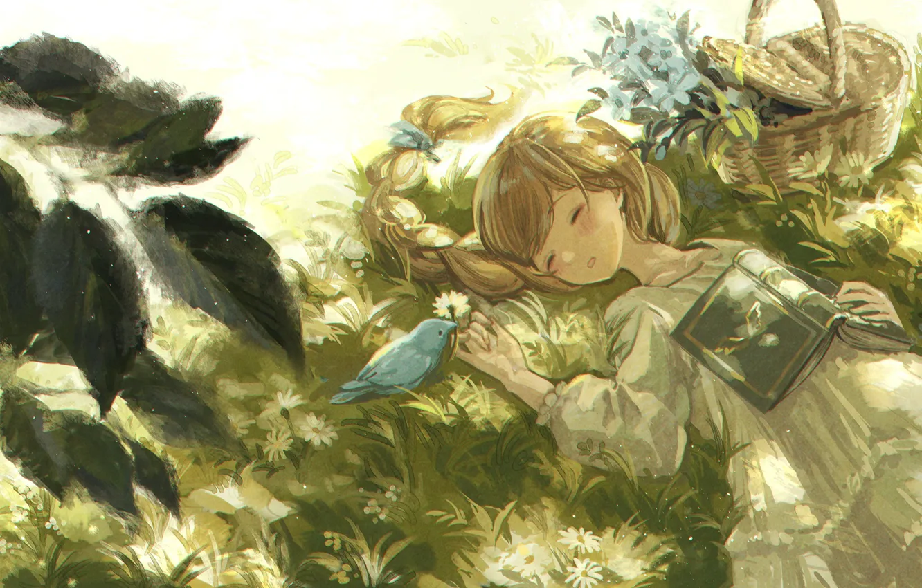 Photo wallpaper grass, bird, basket, sleeping, girl, book