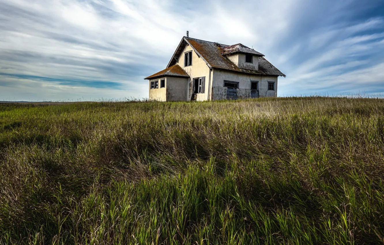 Photo wallpaper field, the sky, home