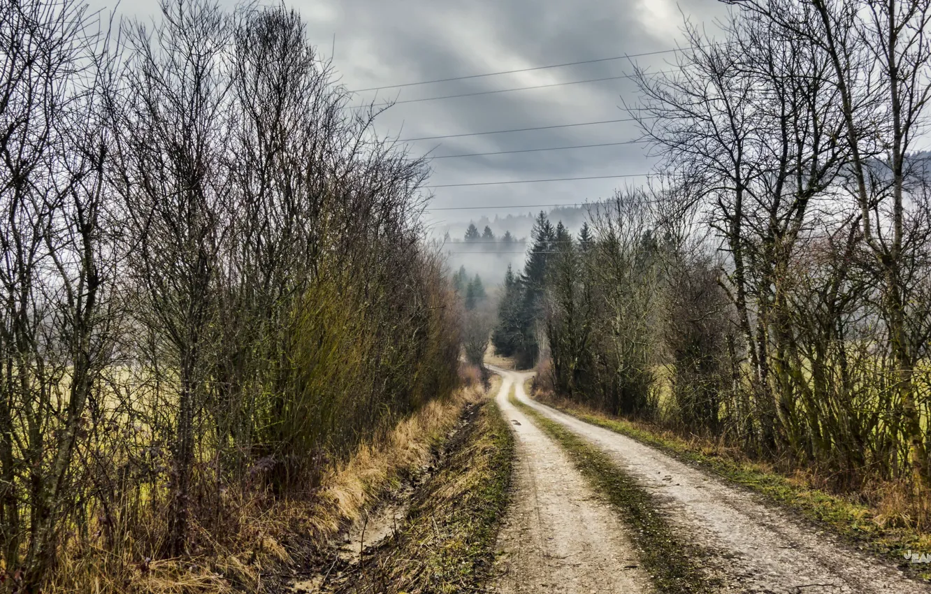 Photo wallpaper road, autumn, nature