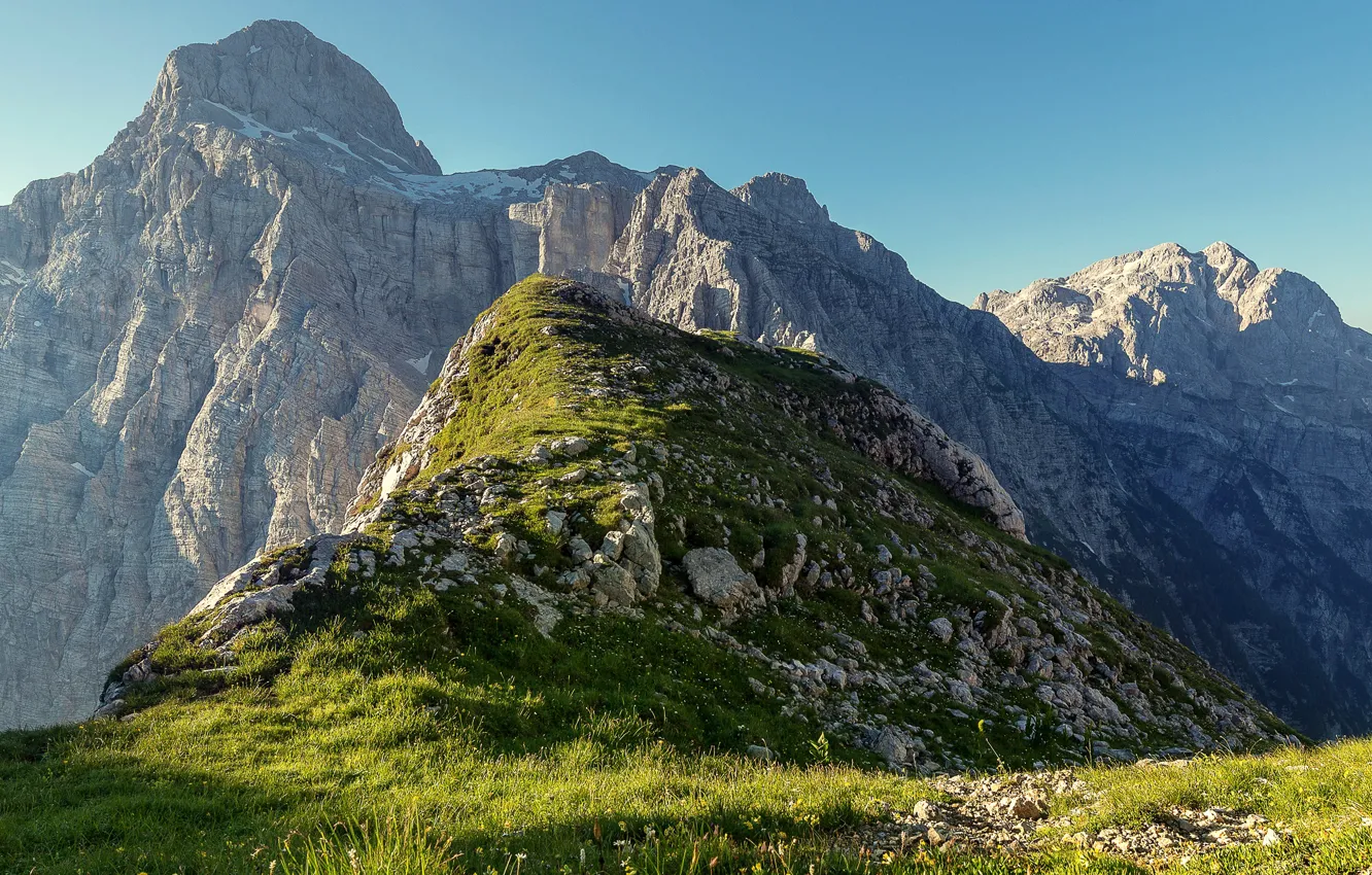 Photo wallpaper greens, grass, mountains, rocks, Sunny