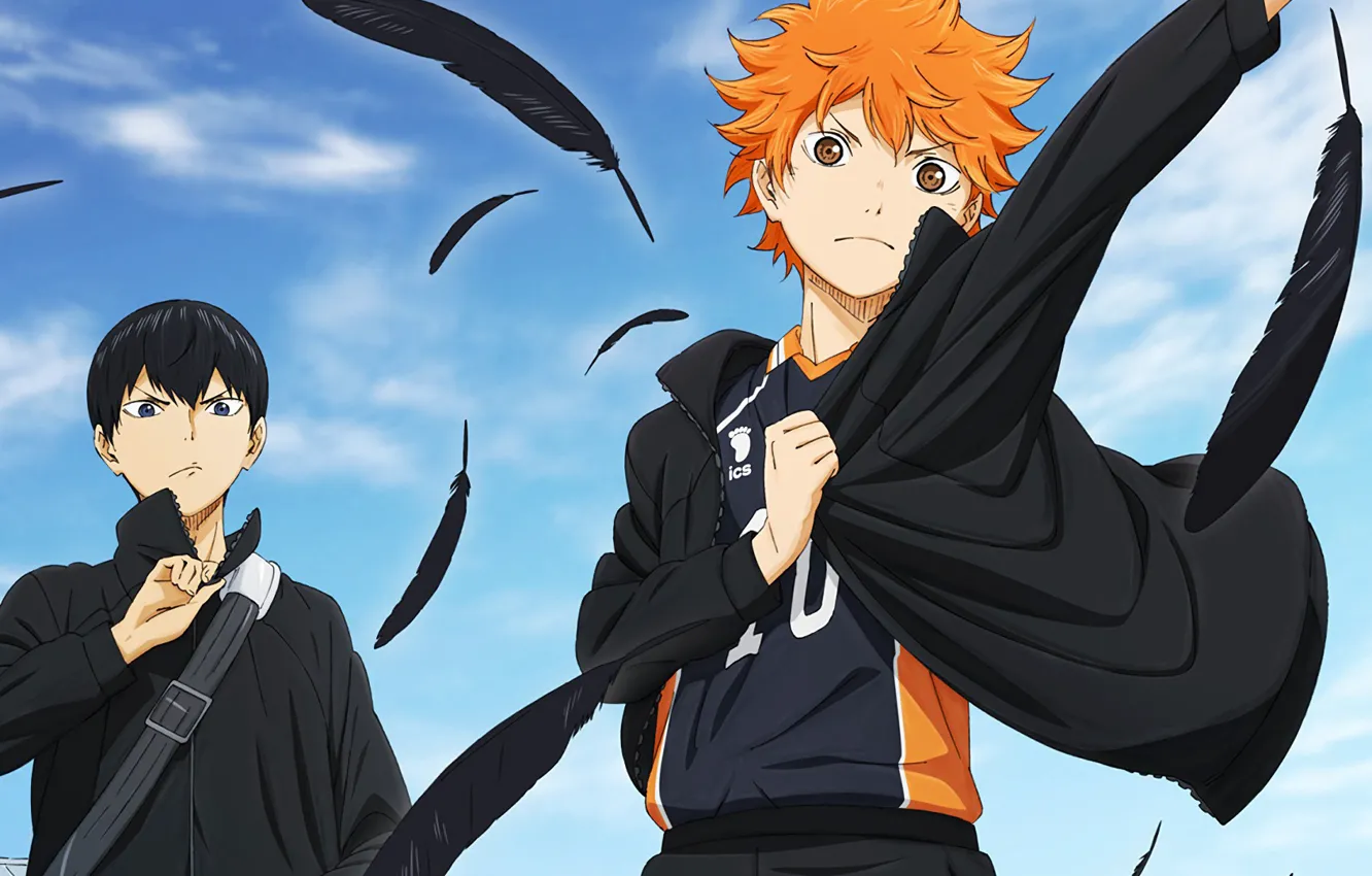 Photo wallpaper guy, volleyball, Hinata, haikyuu!!, Kageyama