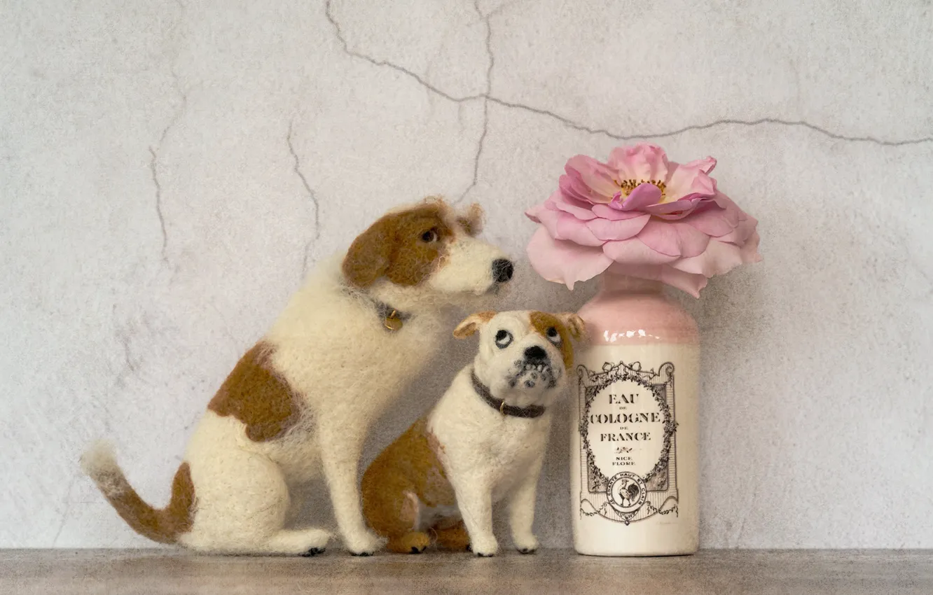 Photo wallpaper toy, dog, two dogs