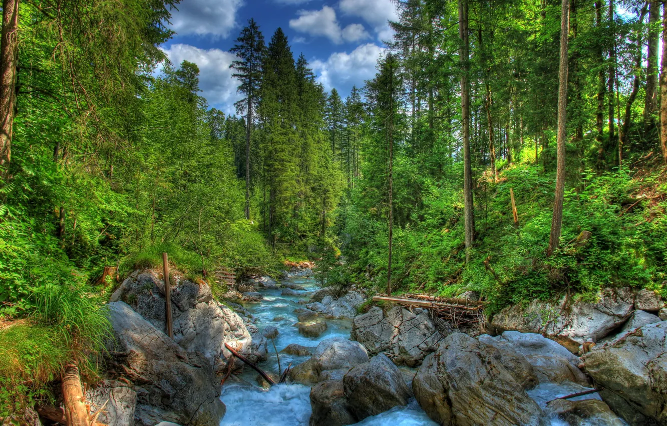 Photo wallpaper forest, landscape, nature, river, stones, photo, HDR, Germany