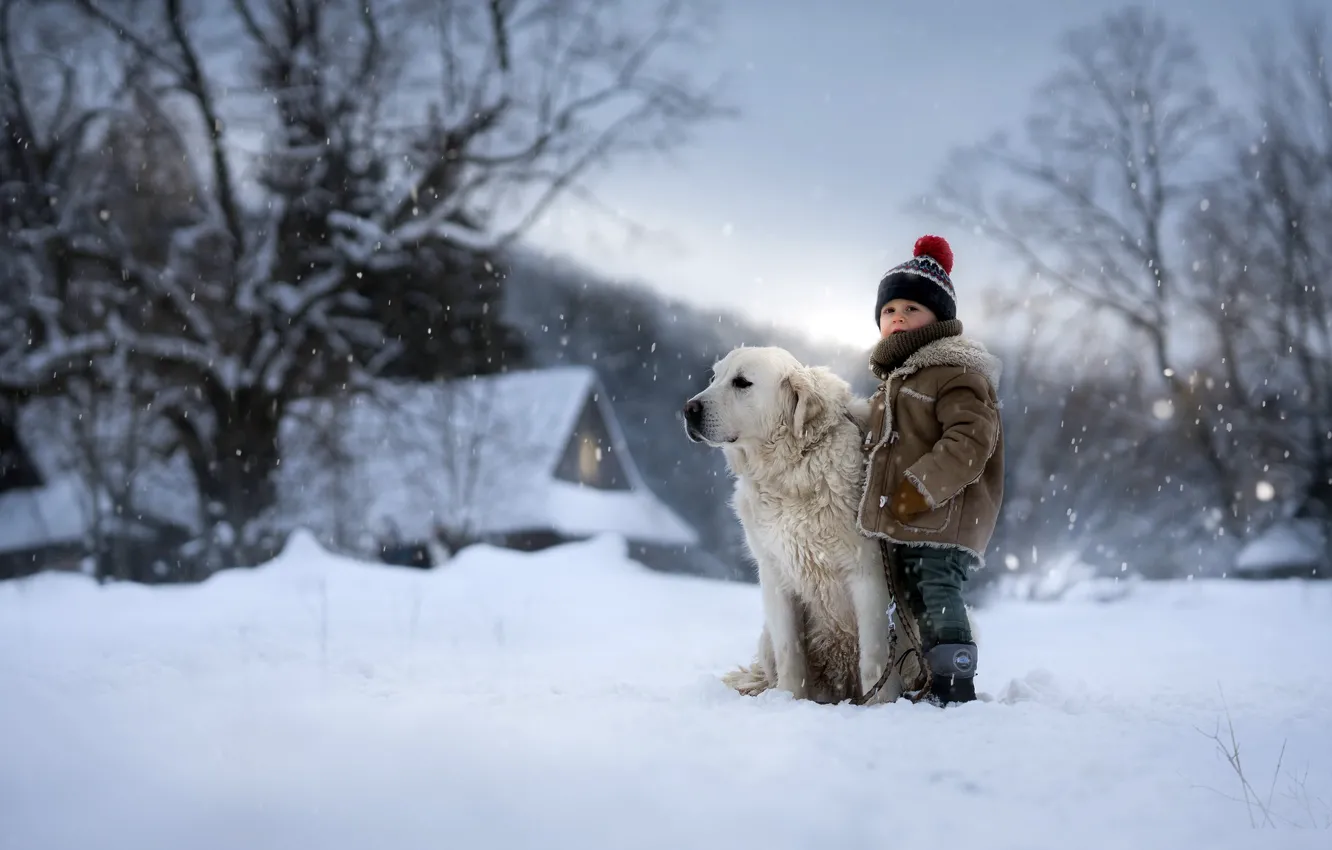 Photo wallpaper winter, dog, boy