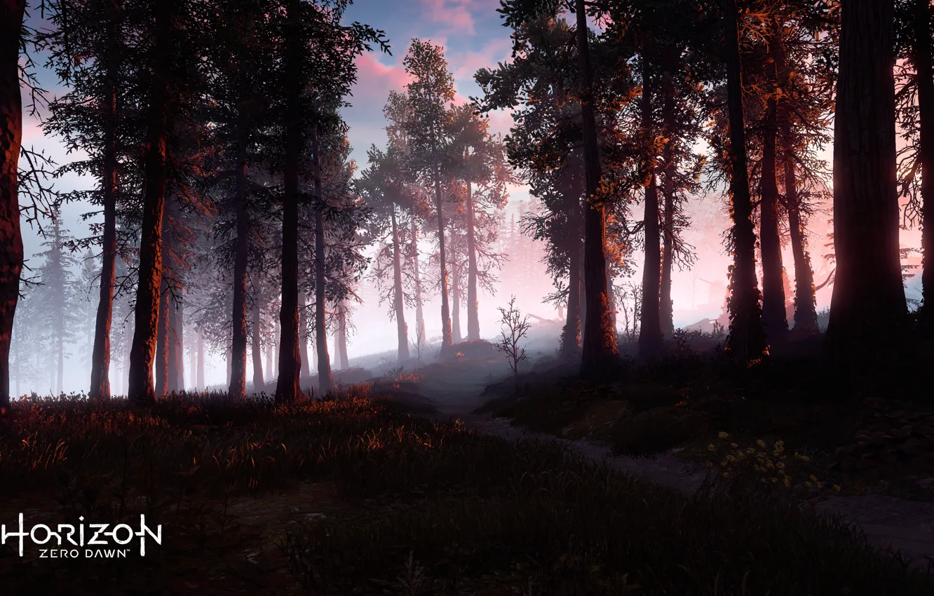 Photo wallpaper Playstation 4, Guerrilla Games, Aloy, Horizon Zero Dawn