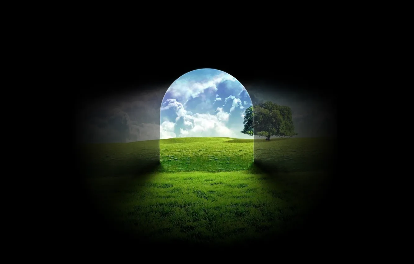 Photo wallpaper glass, trees, nature, shadow, the tunnel, output, black background, entrance