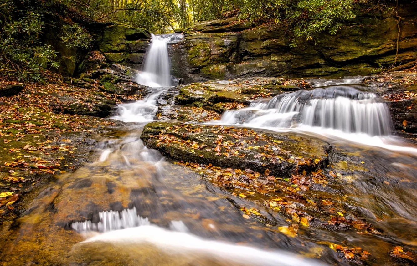 Photo wallpaper autumn, leaves, waterfall, cascade, Georgia, GA, Chattahoochee-Oconee National Forest, National forest Chattahoochee-Oconee
