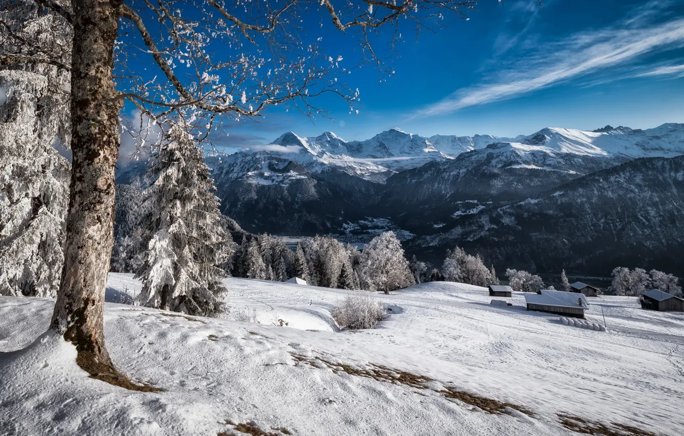 Photo wallpaper winter, mountain, Swiss Alps
