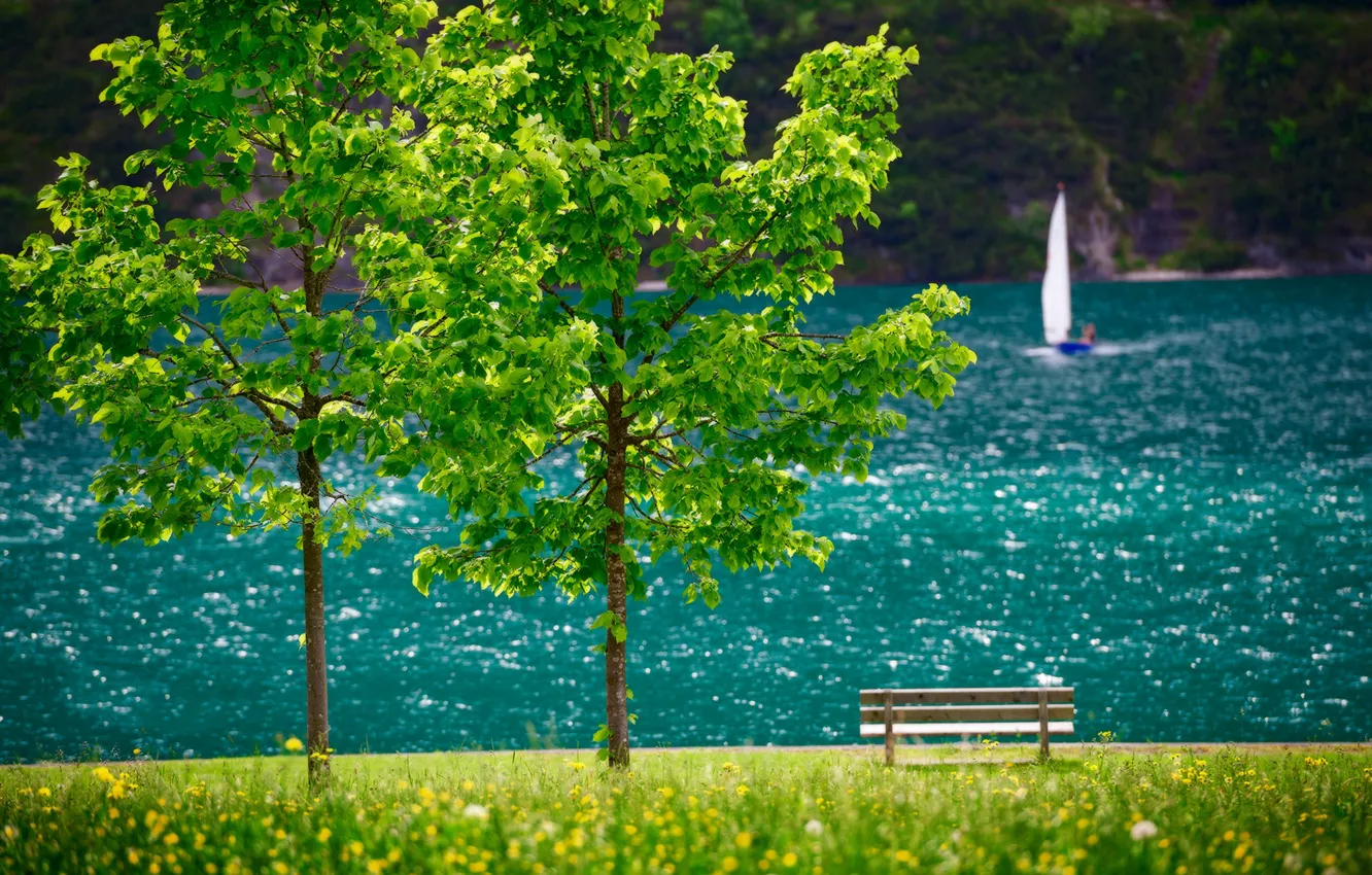 Photo wallpaper trees, landscape, lake, boat, Austria, sail, bench, Tyrol