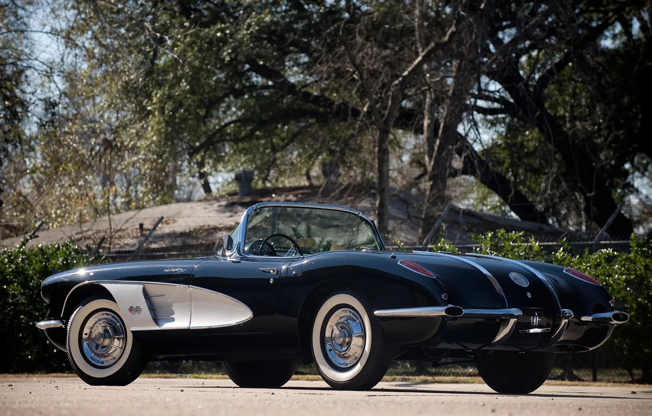 Photo wallpaper trees, Corvette, Chevrolet, 1960, sports car, Chevrolet, classic, rear view