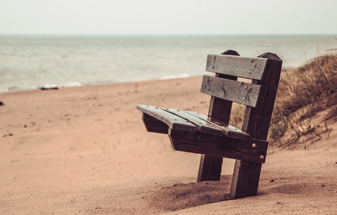 Photo wallpaper sea, beach, bench