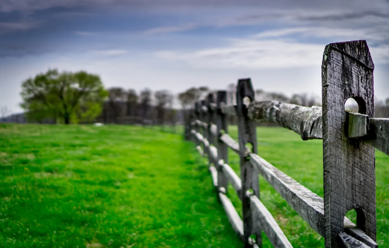 Photo wallpaper field, the sky, grass, clouds, trees, the fence