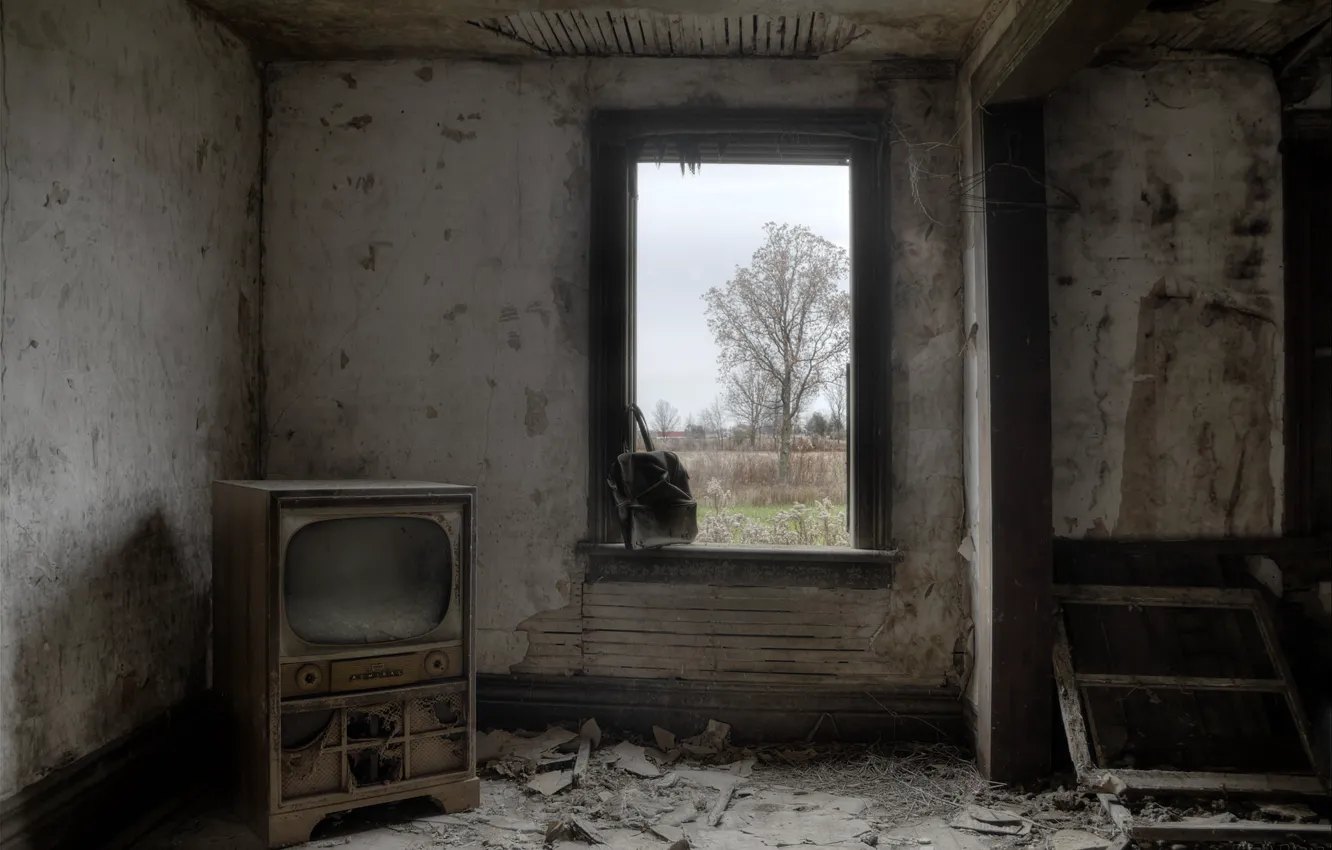 Photo wallpaper room, furniture, TV