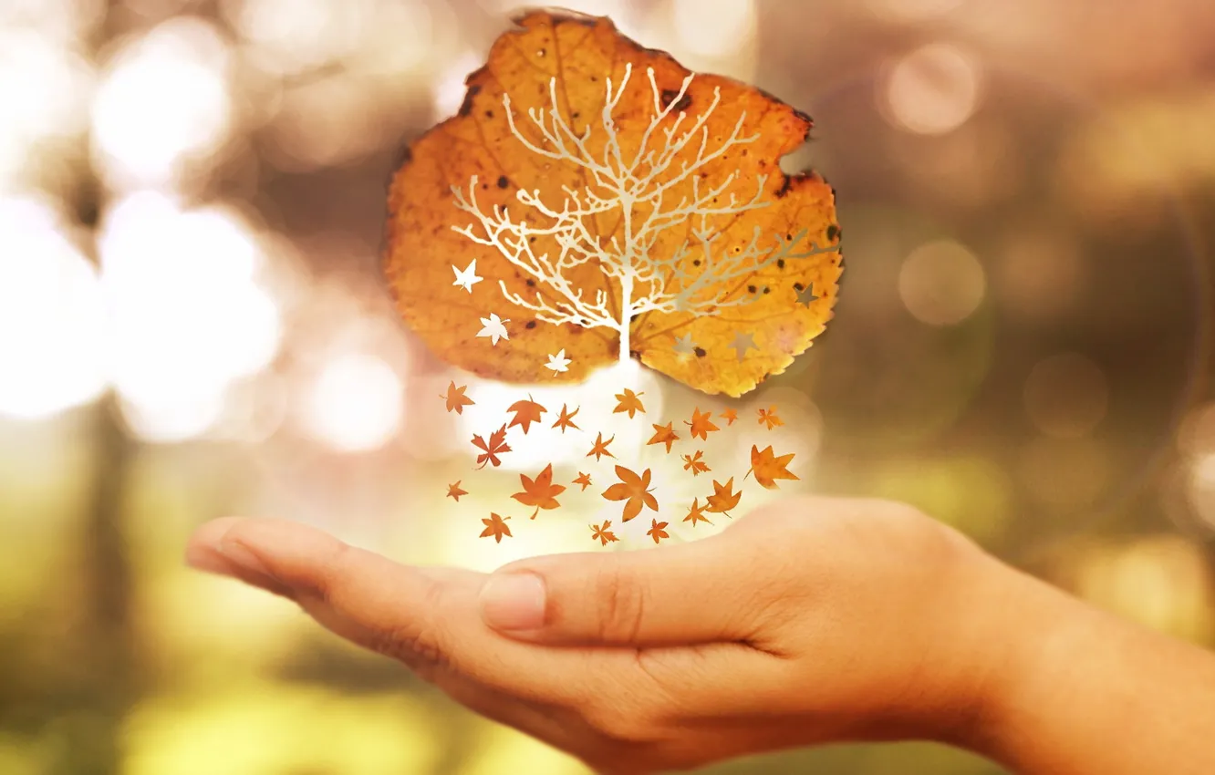 Photo wallpaper autumn, leaves, hands