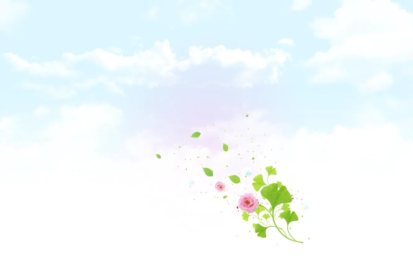 Photo wallpaper the sky, clouds, flowers