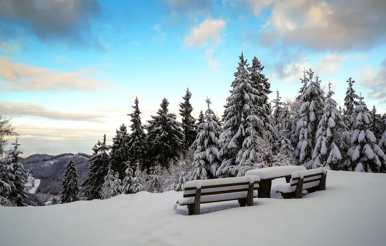Photo wallpaper winter, snow, bench