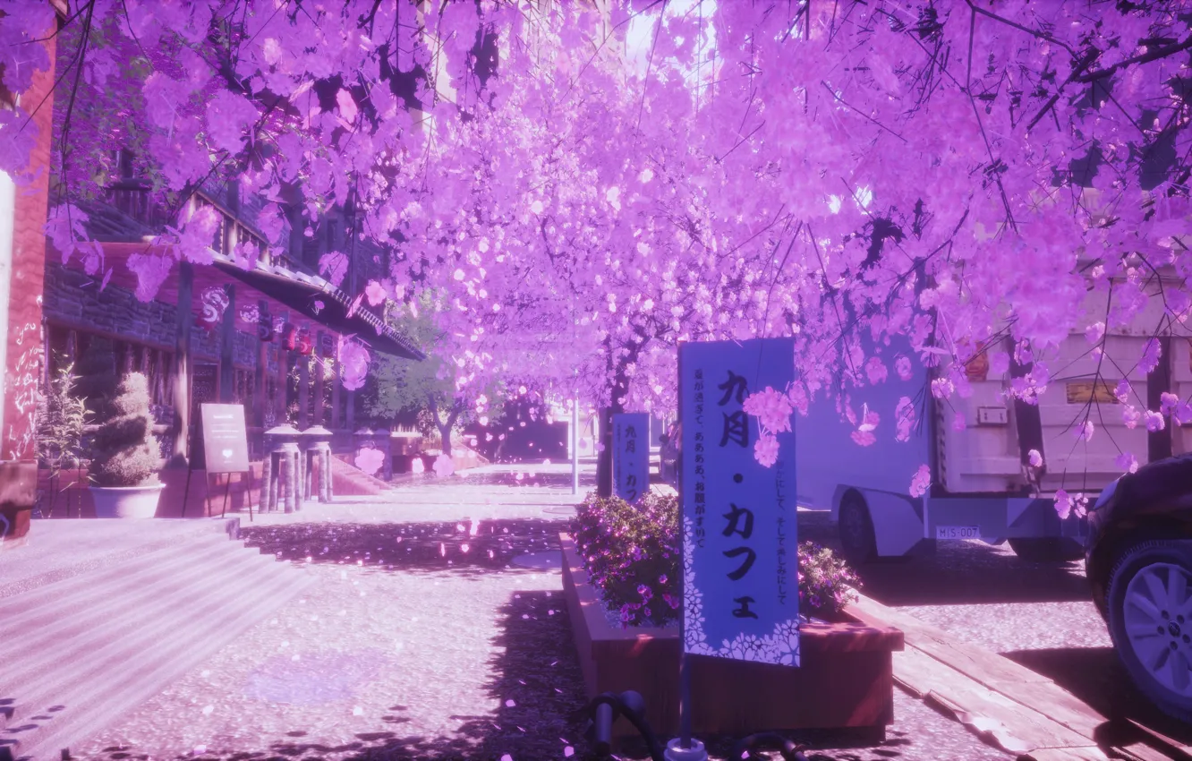Photo wallpaper auto, street, spring, Sakura