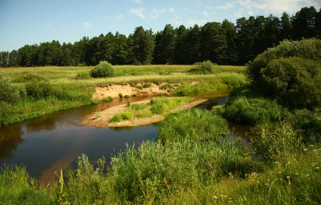 Photo wallpaper forest, the sky, grass, nature, river, walk, Cava