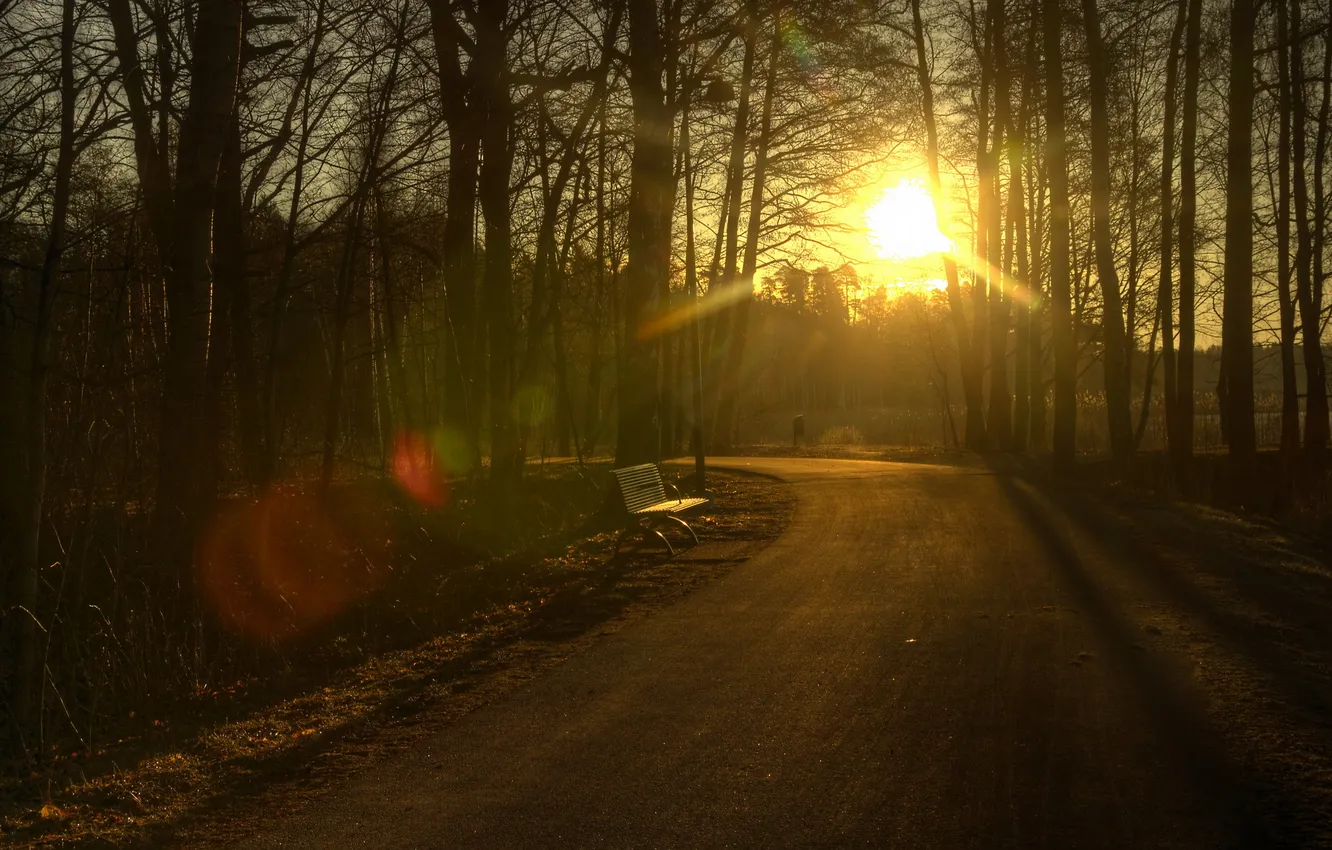 Photo wallpaper sunset, the city, Park