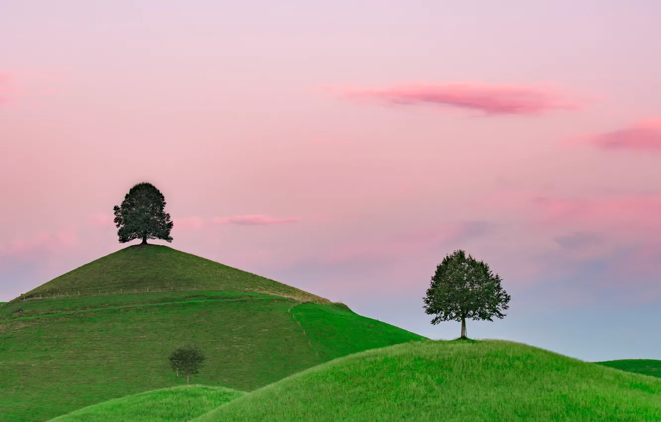 Photo wallpaper the sky, trees, mountains