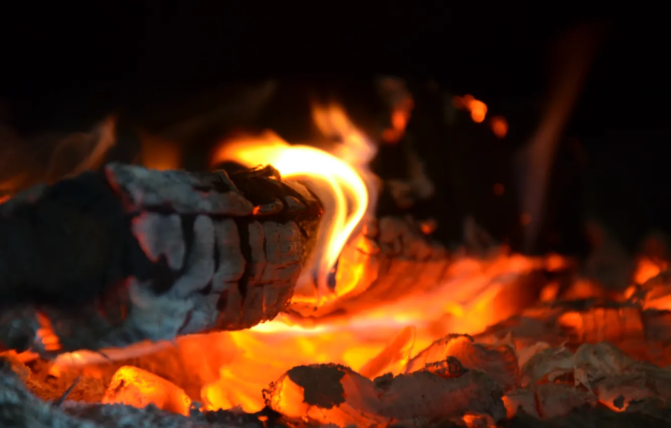 Photo wallpaper fire, red, yellow, wood, heat, hot coals