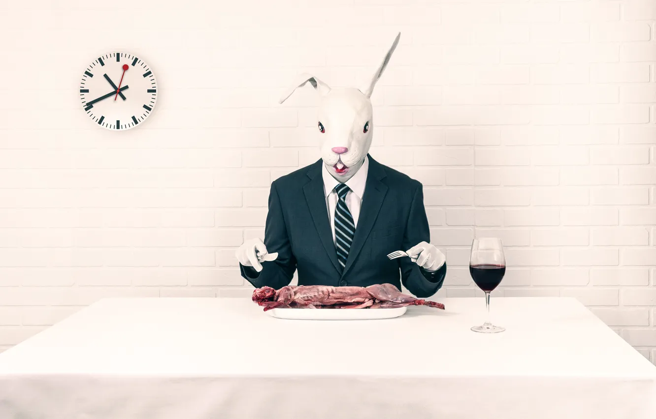Photo wallpaper rabbit, lunch, rabbit